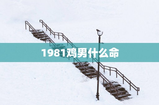 1981鸡男什么命