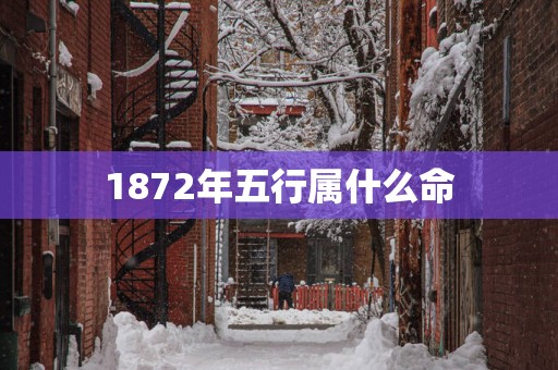 1872年五行属什么命