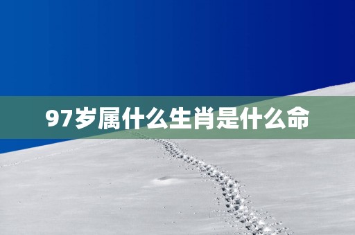 97岁属什么生肖是什么命