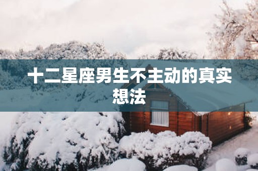 十二星座男生不主动的真实想法