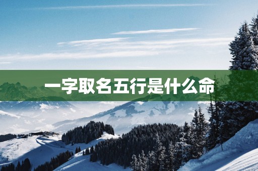 一字取名五行是什么命