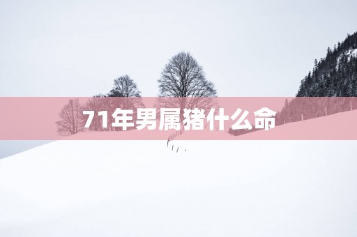 71年男属猪什么命