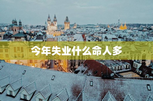 今年失业什么命人多