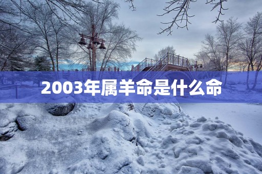 2003年属羊命是什么命