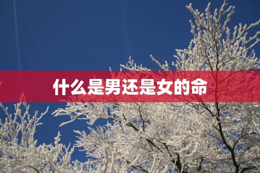 什么是男还是女的命