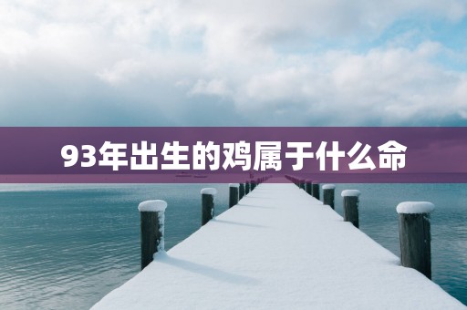 93年出生的鸡属于什么命