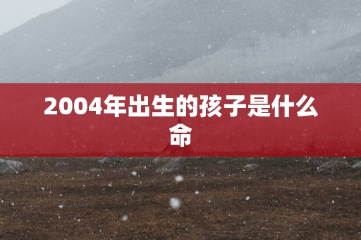 2004年出生的孩子是什么命