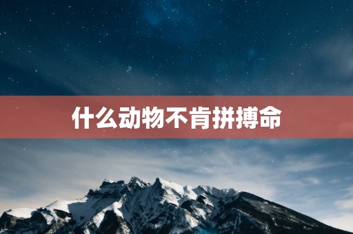 什么动物不肯拼搏命