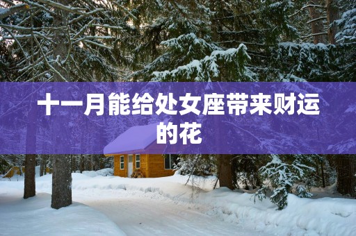 十一月能给处女座带来财运的花