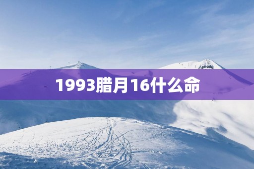 1993腊月16什么命