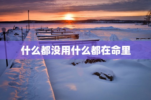 什么都没用什么都在命里