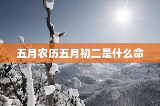 五月农历五月初二是什么命