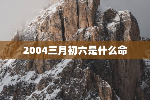 2004三月初六是什么命