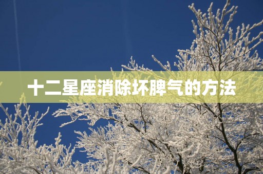 十二星座消除坏脾气的方法