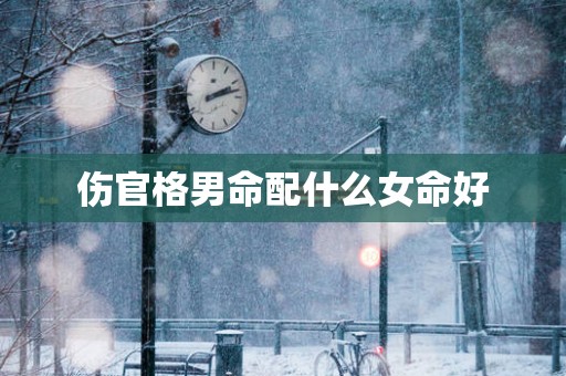伤官格男命配什么女命好