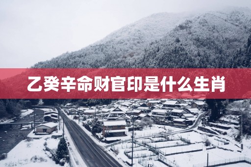 乙癸辛命财官印是什么生肖