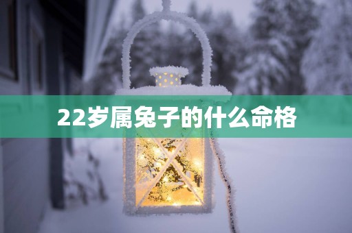 22岁属兔子的什么命格