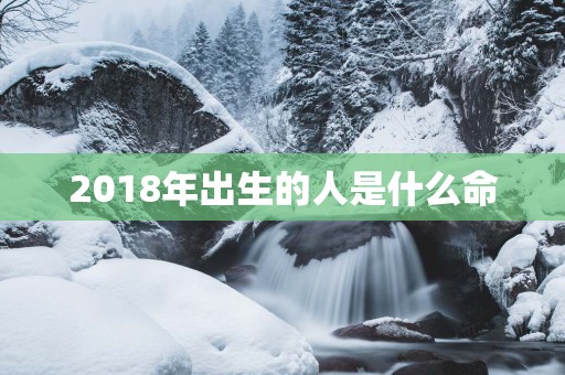 2018年出生的人是什么命