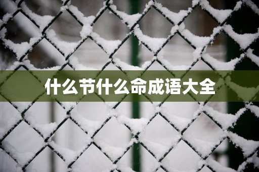 什么节什么命成语大全