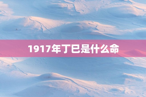 1917年丁巳是什么命