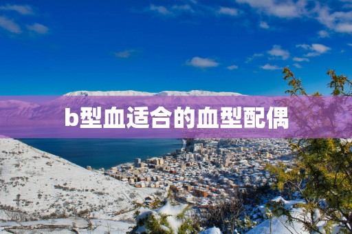 b型血适合的血型配偶