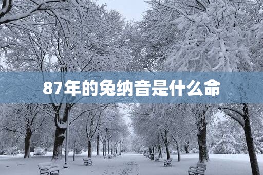 87年的兔纳音是什么命