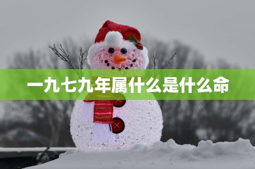 一九七九年属什么是什么命