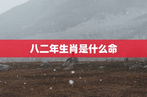 八二年生肖是什么命