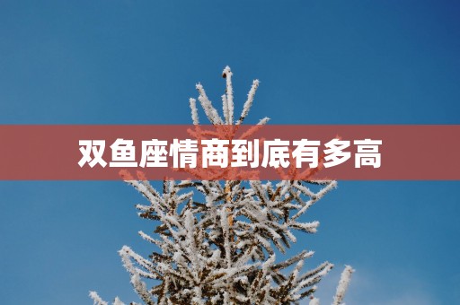 双鱼座情商到底有多高