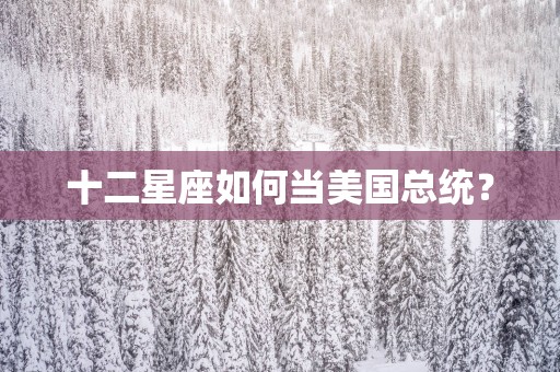十二星座如何当美国总统？