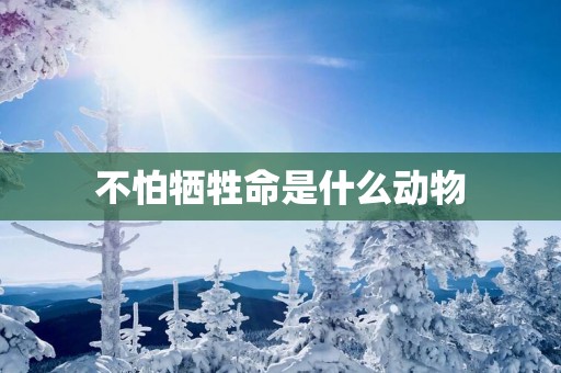 不怕牺牲命是什么动物