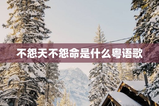 不怨天不怨命是什么粤语歌