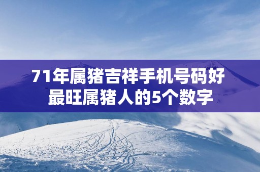 71年属猪吉祥手机号码好 最旺属猪人的5个数字