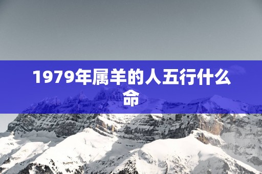 1979年属羊的人五行什么命