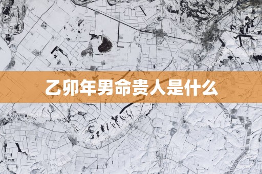 乙卯年男命贵人是什么