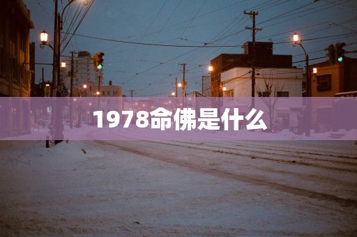 1978命佛是什么