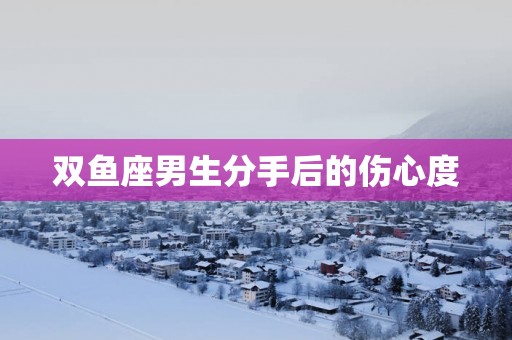 双鱼座男生分手后的伤心度