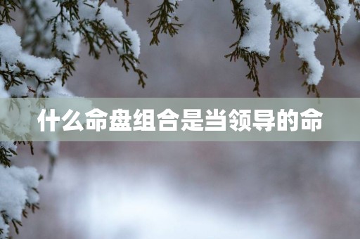 什么命盘组合是当领导的命