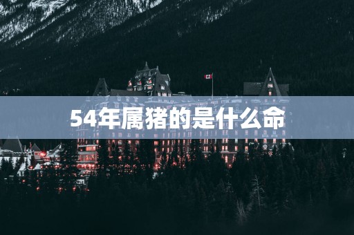 54年属猪的是什么命
