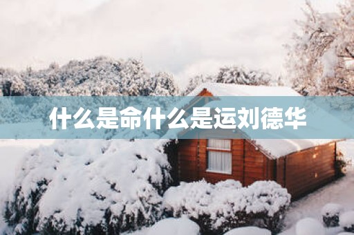 什么是命什么是运刘德华