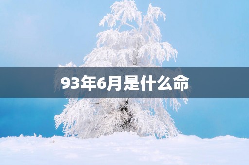 93年6月是什么命