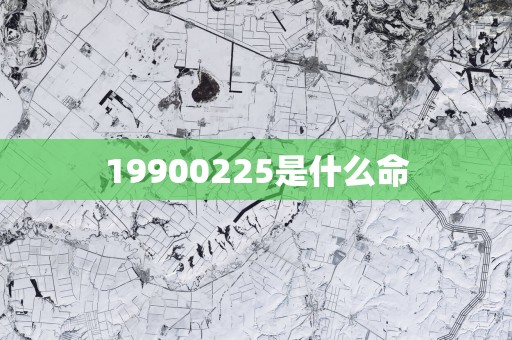 19900225是什么命