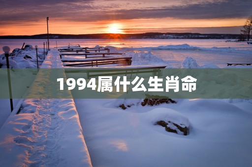 1994属什么生肖命