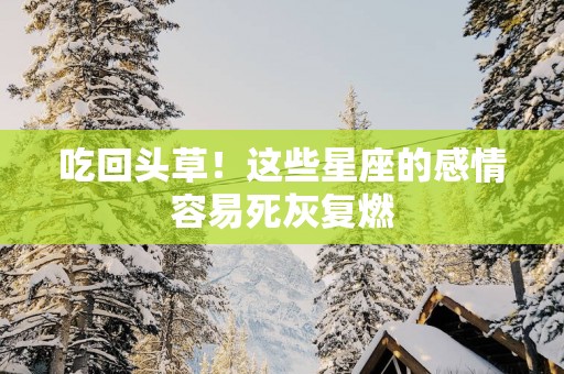 吃回头草！这些星座的感情容易死灰复燃