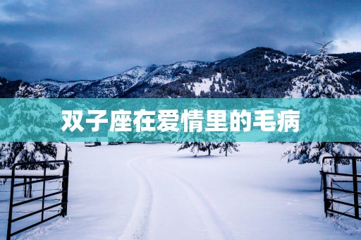 双子座在爱情里的毛病