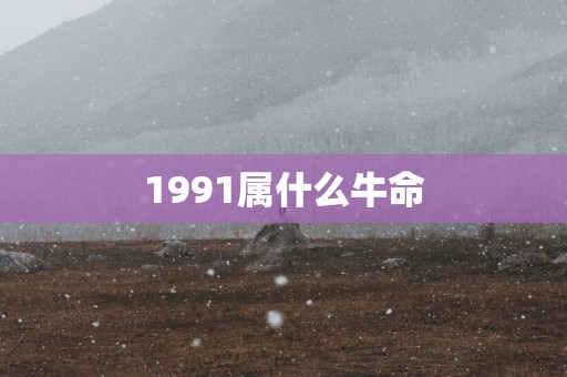 1991属什么牛命