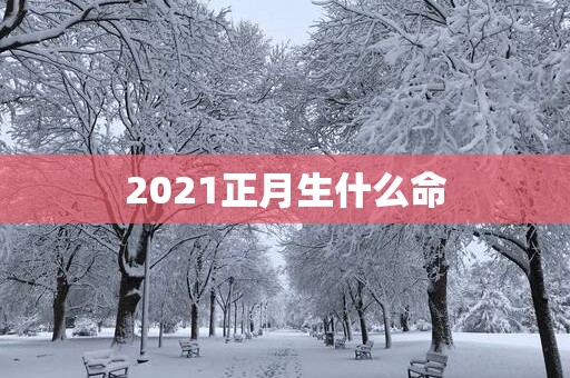 2025正月生什么命