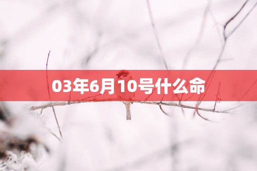 03年6月10号什么命