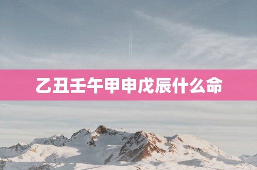 乙丑壬午甲申戊辰什么命