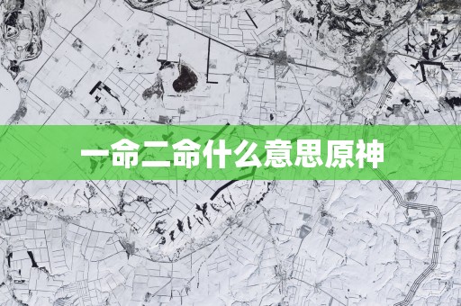 一命二命什么意思原神